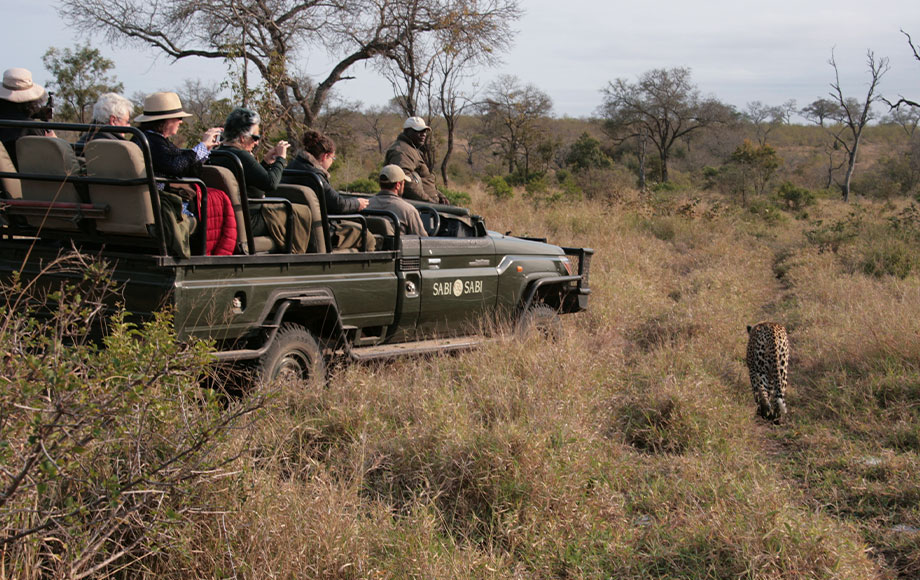 Safari vehicle next to leopard