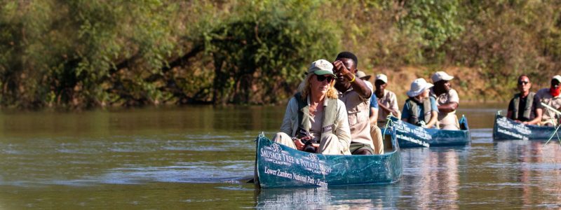 Under The Radar Destinations 2023 2024 African Wildlife Safaris   Blog Zambia Steve Sara Banner 800x300 