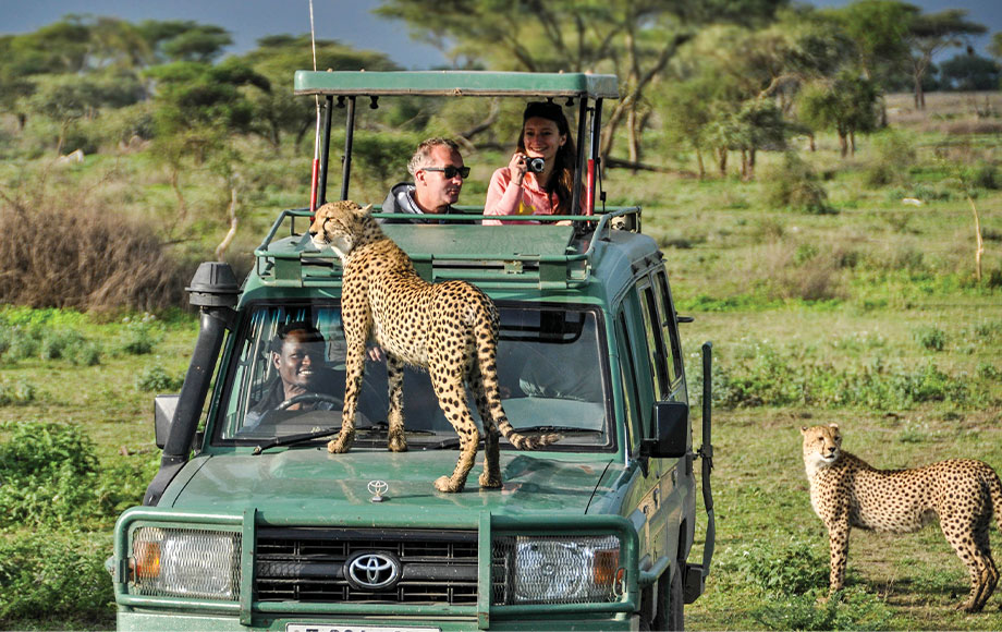 Lemala Cheetah Tanzania