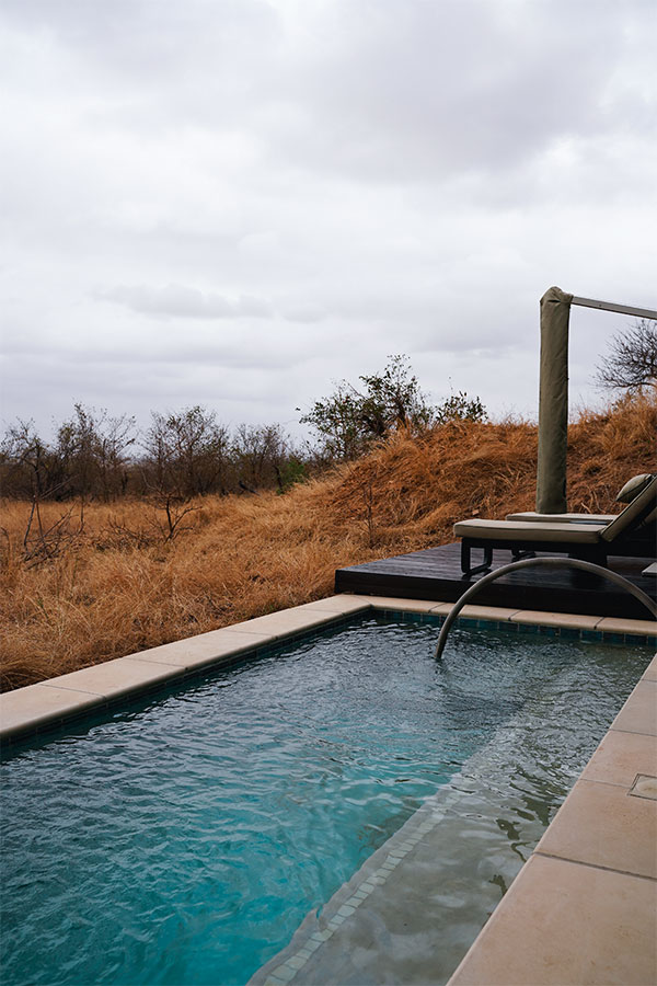 Sabi Sabi Earth Lodge