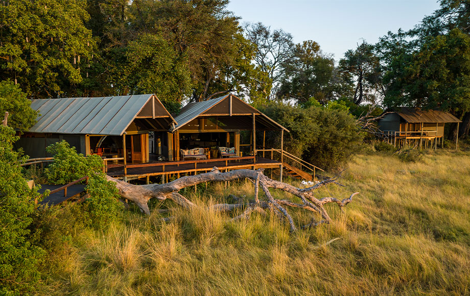 Mokolwane Camp in Botswana