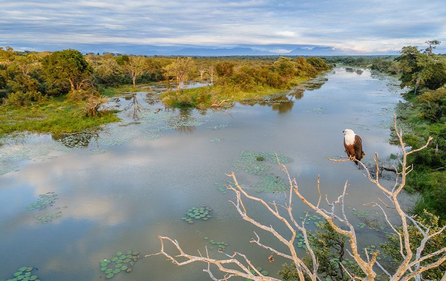 Sandringham Private Game Reserve