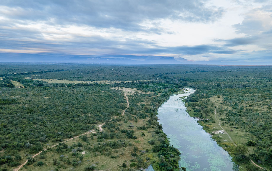 Sandringham Private Game Reserve