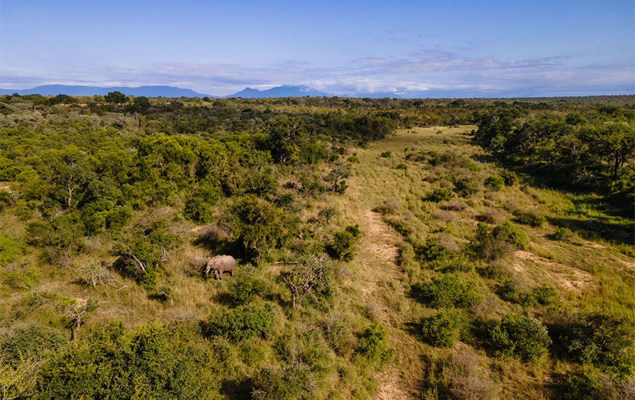 Sandringham Private Game Reserve