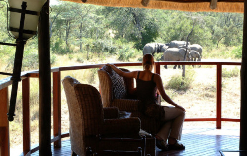 South Africa Safaris & Tours | With African Wildlife Safaris